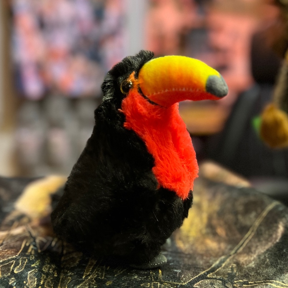 Brand new – #926 Parrot, black, and red – super cute ￼